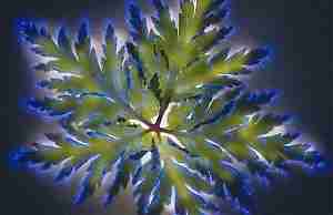 Генератор Фото-МТЭ